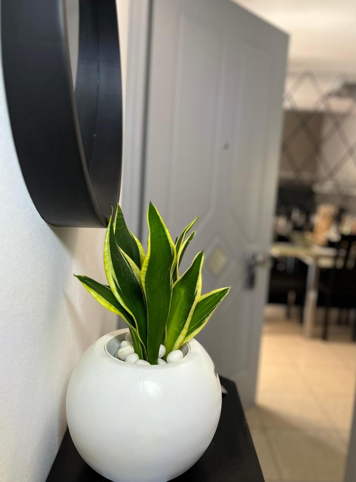 Diamond City Lux Apartment Argosztóli Kültér fotó