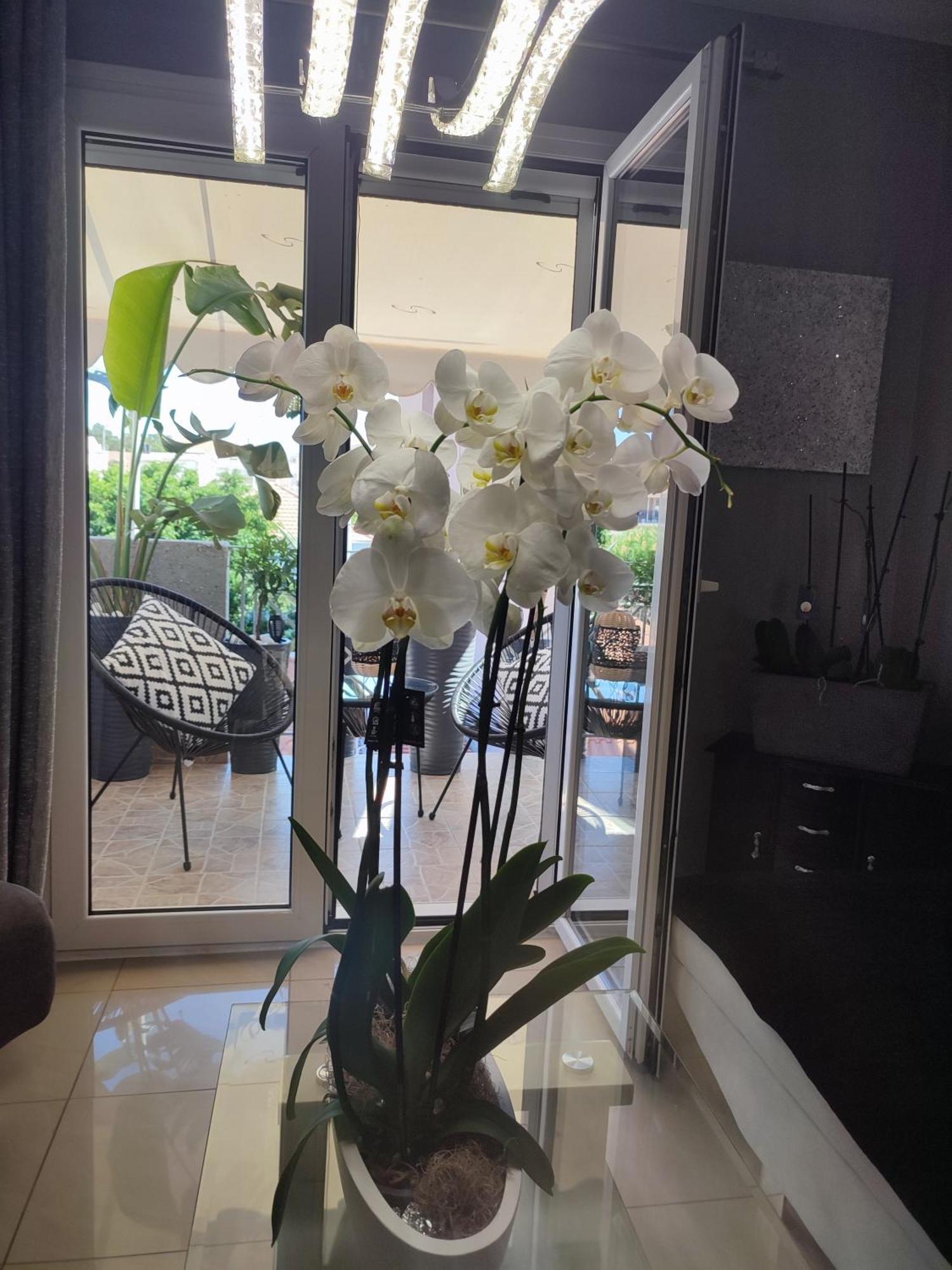 Diamond City Lux Apartment Argosztóli Kültér fotó